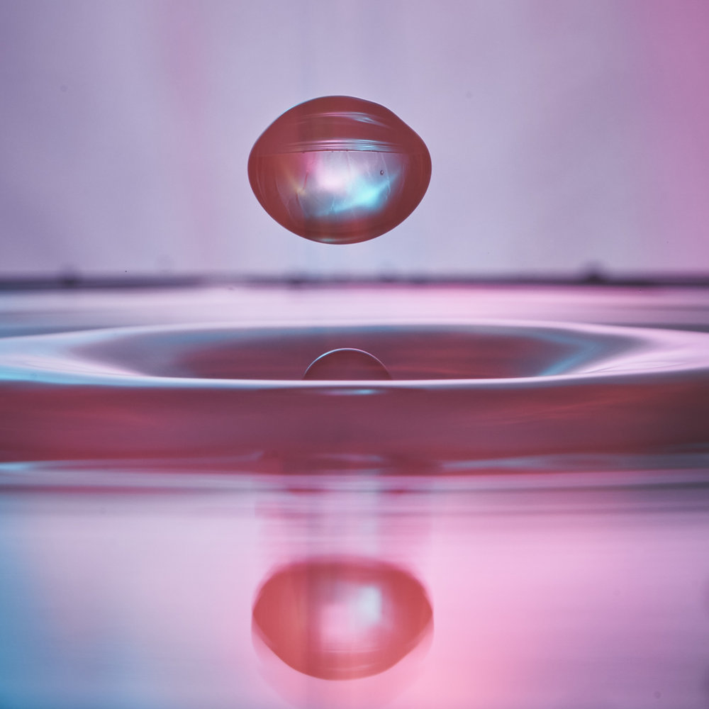 EarthIslandUK's tweet card. Recent studies have revealed appalling levels of microplastic contamination across the UK’s ecosystems and food supply, putting long term health into urgent question. Investigations have identified...