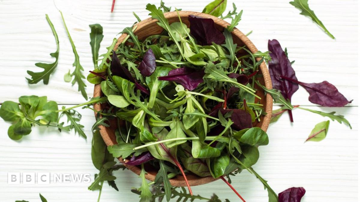 Esky_eLearning's tweet card. Shoppers are being reminded to thoroughly wash mixed salad leaves amid concern that this food could be the source of an E. coli outbreak that has killed two and infected more than 150 people in the...