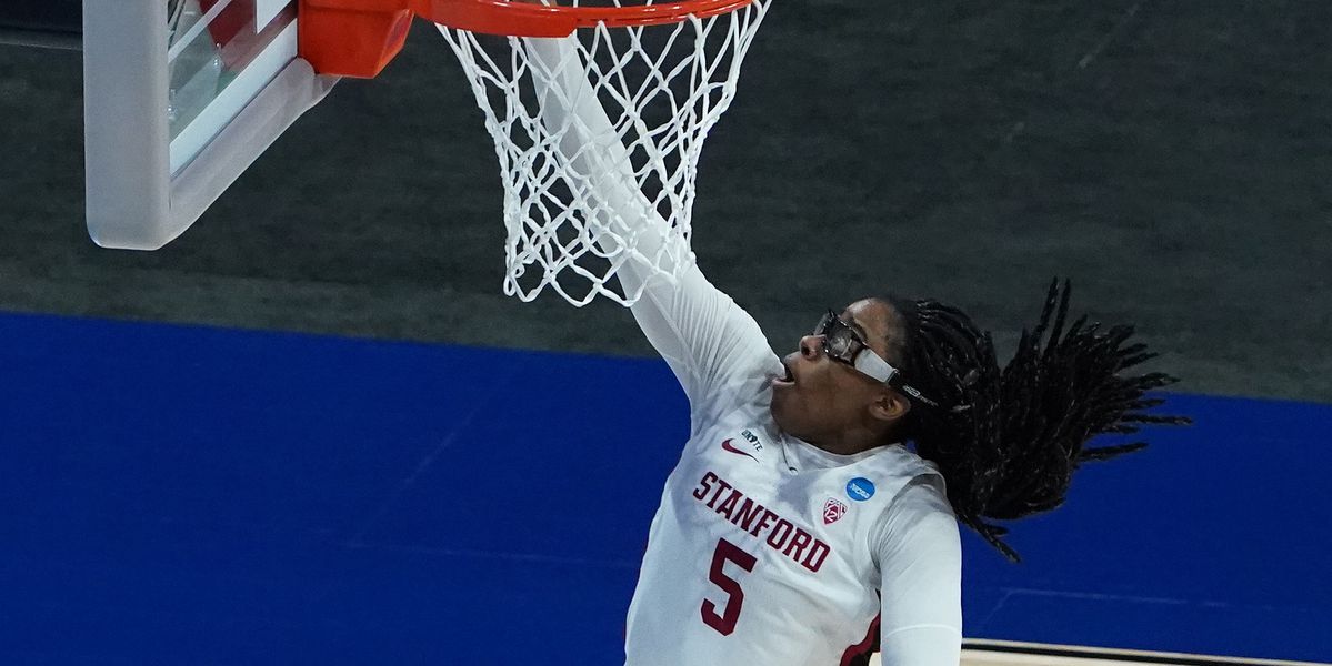 RuleofTree's tweet card. Cardinal back to dominant best.