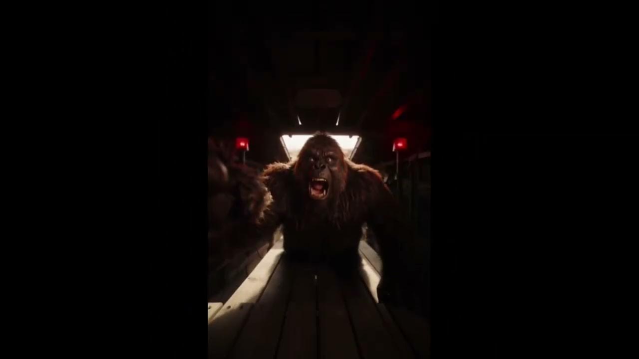 C11688Goodvibes's tweet card. Escapes from area 51 ￼