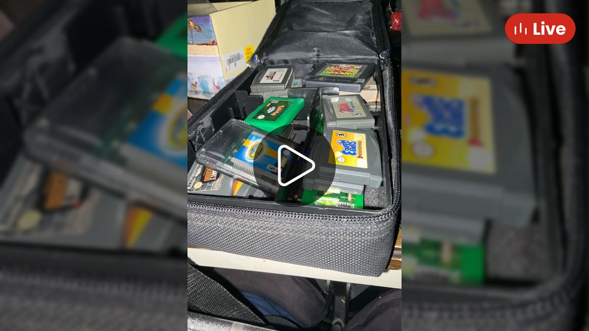 C11688Goodvibes's tweet card. Nintendo handheld show/Pokémon games