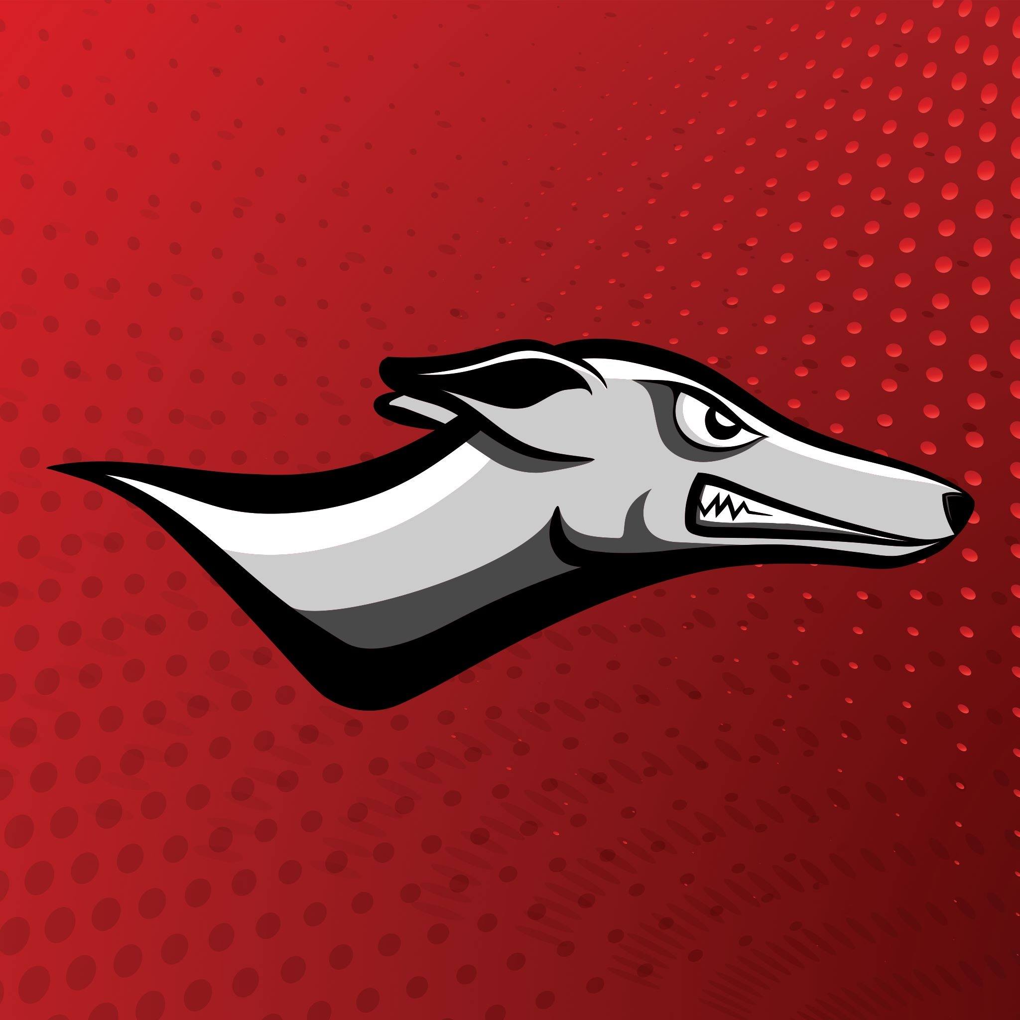 NemoPressbox's tweet card. Hounds Beat Southeastern 92-82 - NEMO Pressbox