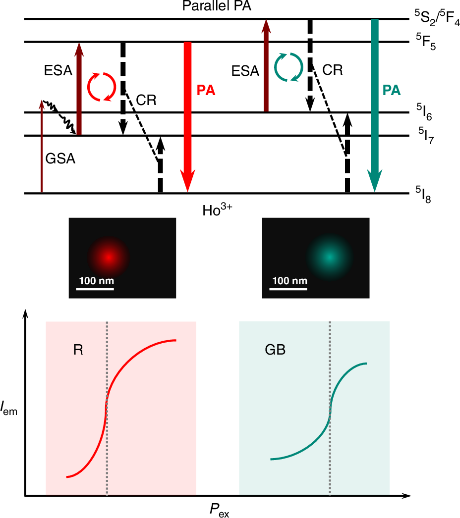 LightSciAppl's tweet card. Light: Science & Applications - Modulating parallel photon avalanche in Ho3+ for multicolor nanoscopy and related applications