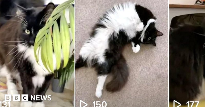 Tweet card summary image