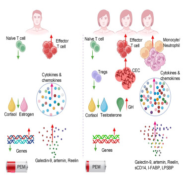 CellRepMed's tweet card. Shahbaz et al. find that female long COVID patients with ME/CFS exhibit heightened inflammation, altered hematopoiesis, disrupted hormone levels, and neuroinflammatory gene signatures. In parallel,...