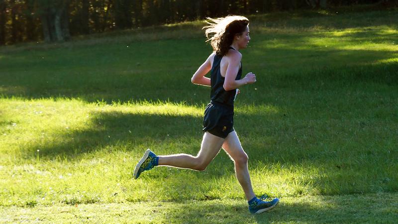 wvutechsports's tweet card. WVU Tech cross country kicked off its 2025 season with determination and growth during the Thundering Herd Invitational.