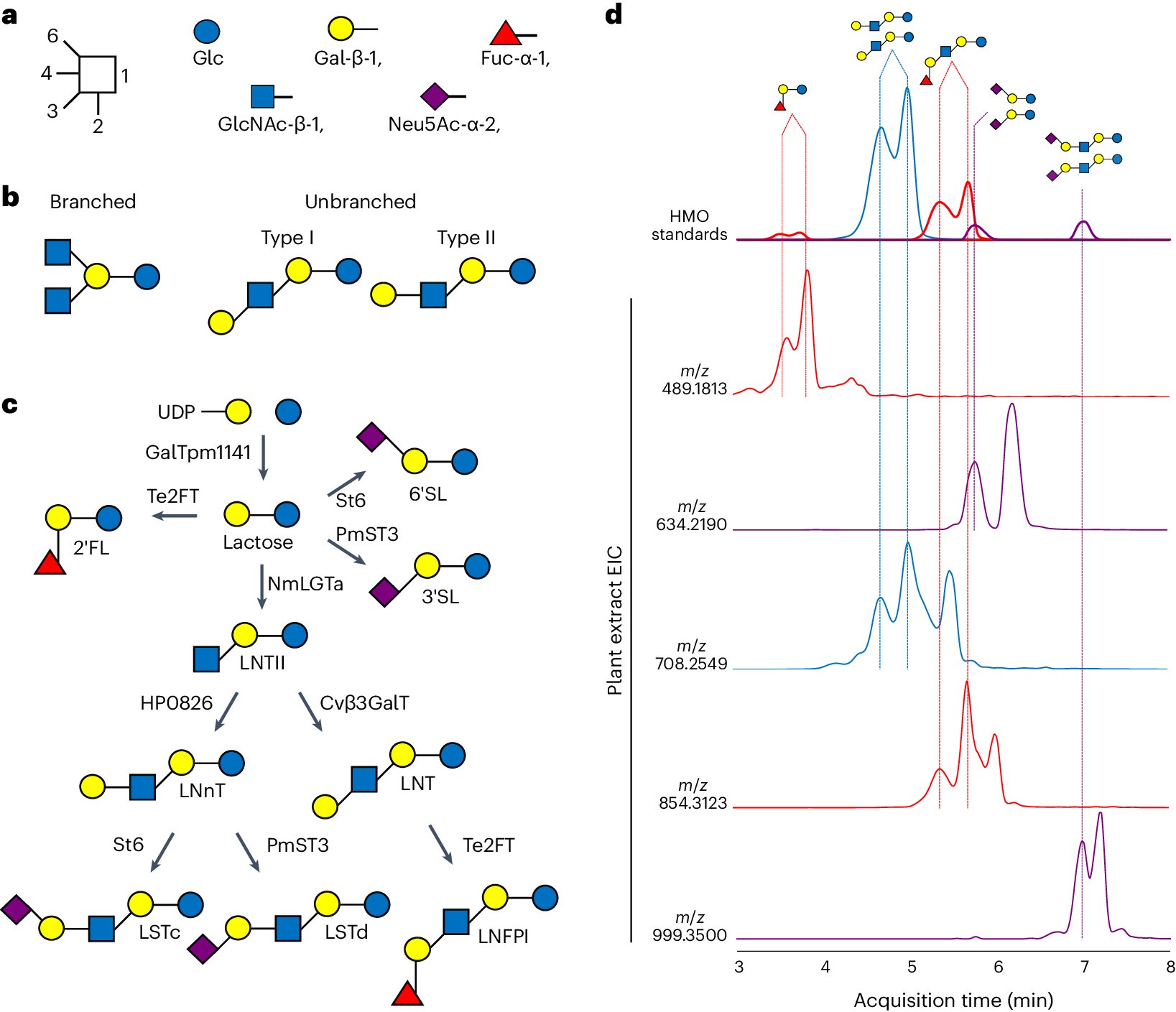 LabShih's tweet card. Nature Food - Human milk oligosaccharides (HMOs) are essential carbohydrates for the early development of infants. In this study, the intrinsic carbohydrate anabolism of plants is leveraged to...