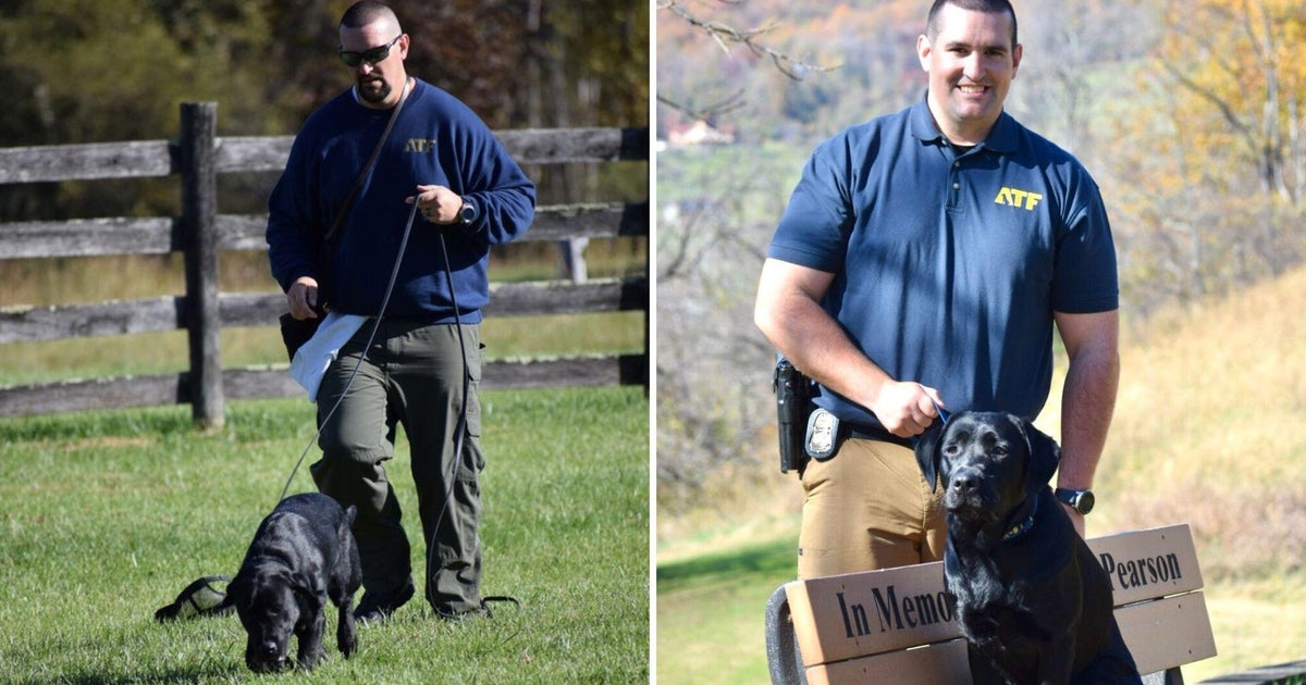wjz's tweet card. The Maryland Fire Marshal's Office welcomed a new four-legged member, Quinn, their first new Accelerant Detection K9 in more than 20 years.