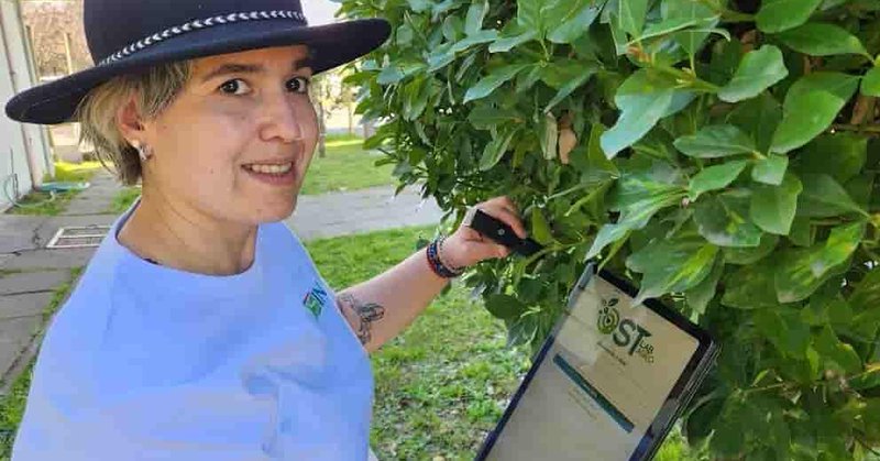 Tweet card summary image