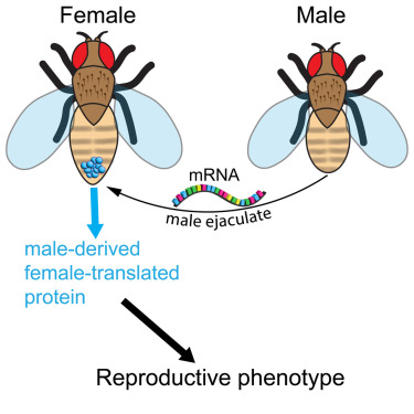 LucianoMatzkin's tweet card. Health sciences; Immunity; Virology; Mathematical biosciences; Machine learning