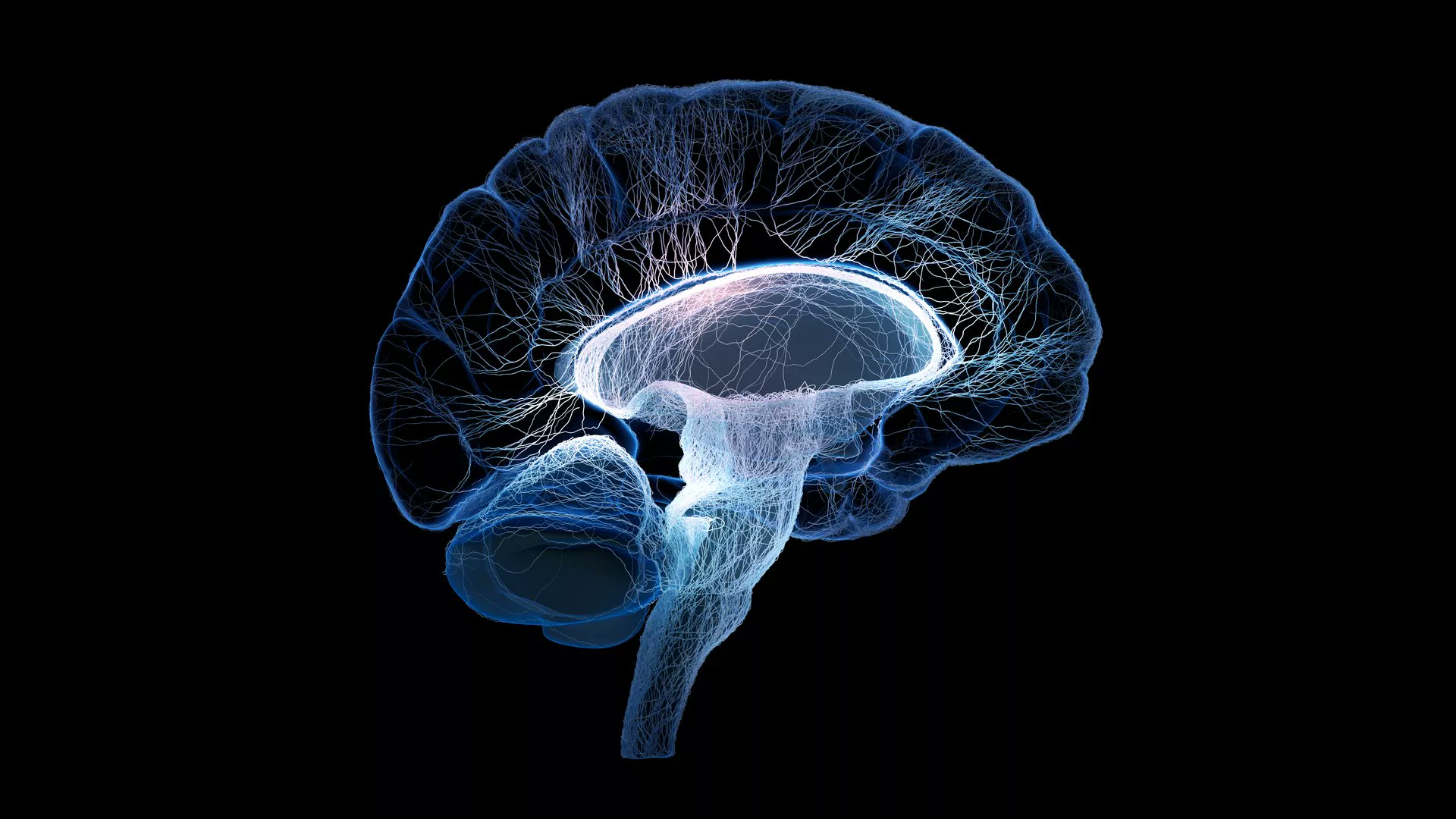 psyacademy_'s tweet card. Brain-Machine Interfaces (BMIs) or Brain-Computer Interfaces (BCIs) open new possibilities in neuroscience, creating direct interaction between the brain and...