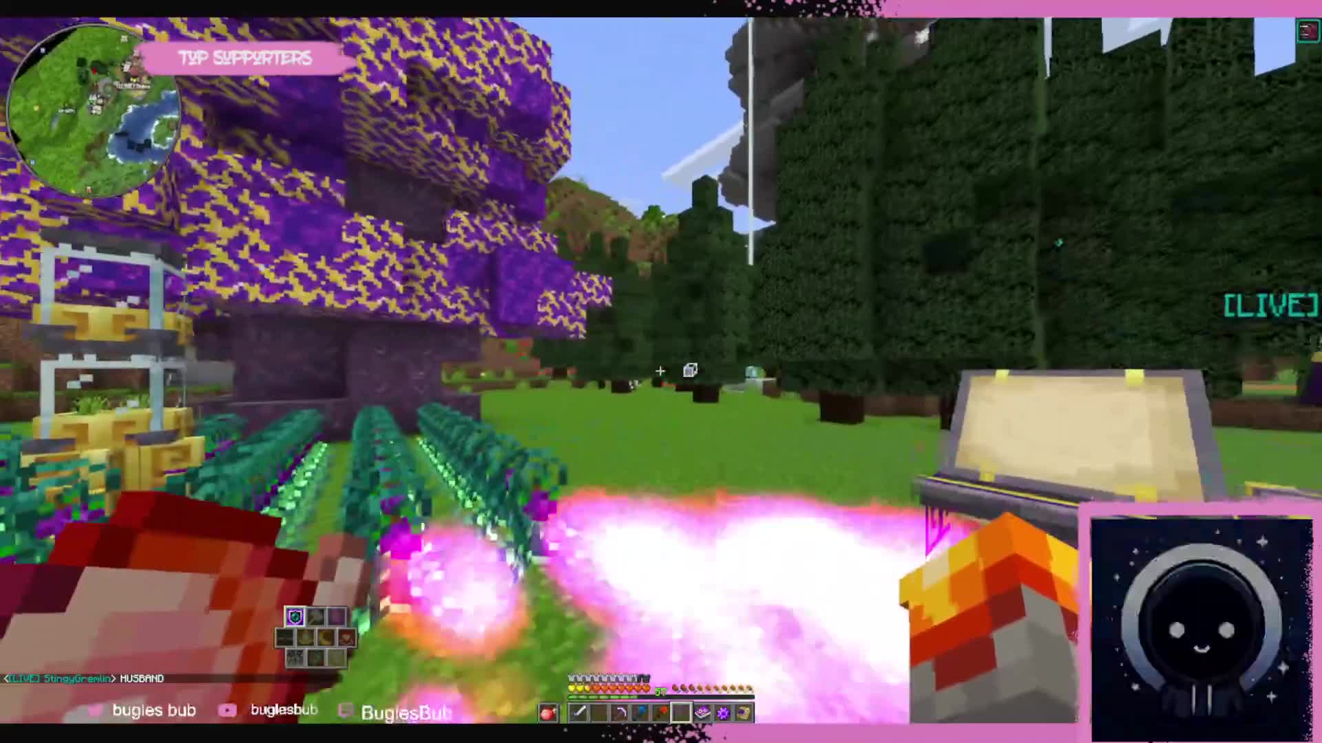 buglesbub's tweet card. BuglesBub - "oiiiiiiii" *SPLAT*