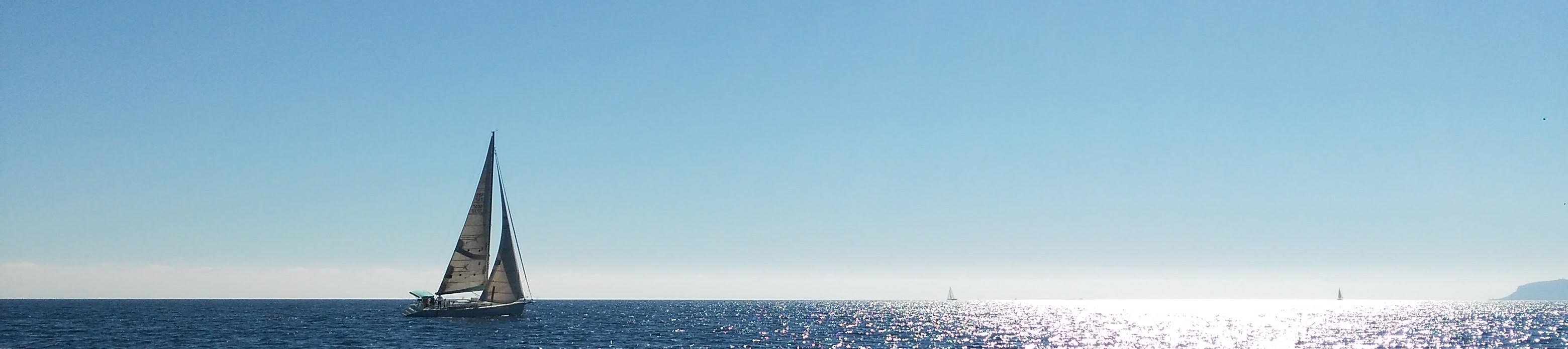 danioche's tweet card. Call me Dani