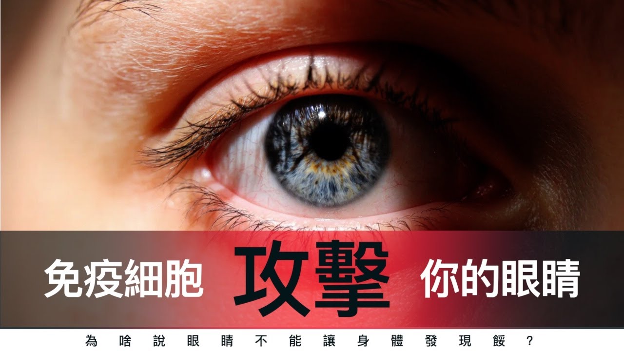 SeaiTechNet's tweet card. 為什麼說眼睛不能被身體中的免疫細胞發現？來科普一下啦！