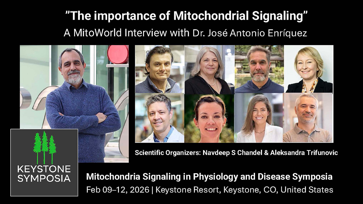 KeystoneSymp's tweet card. A collective effort across the mitochondrial research and clinical communities has sought to play down the “powerhouse of the cell” phrase as the sole description of mitochondria and, instead, to...