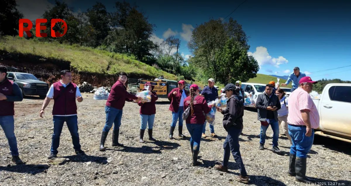 Red1Hidalgo's tweet card. Se realizó la entrega de despensas en el municipio de Tianguistengo, en una acción coordinada tras las intensas lluvias.
