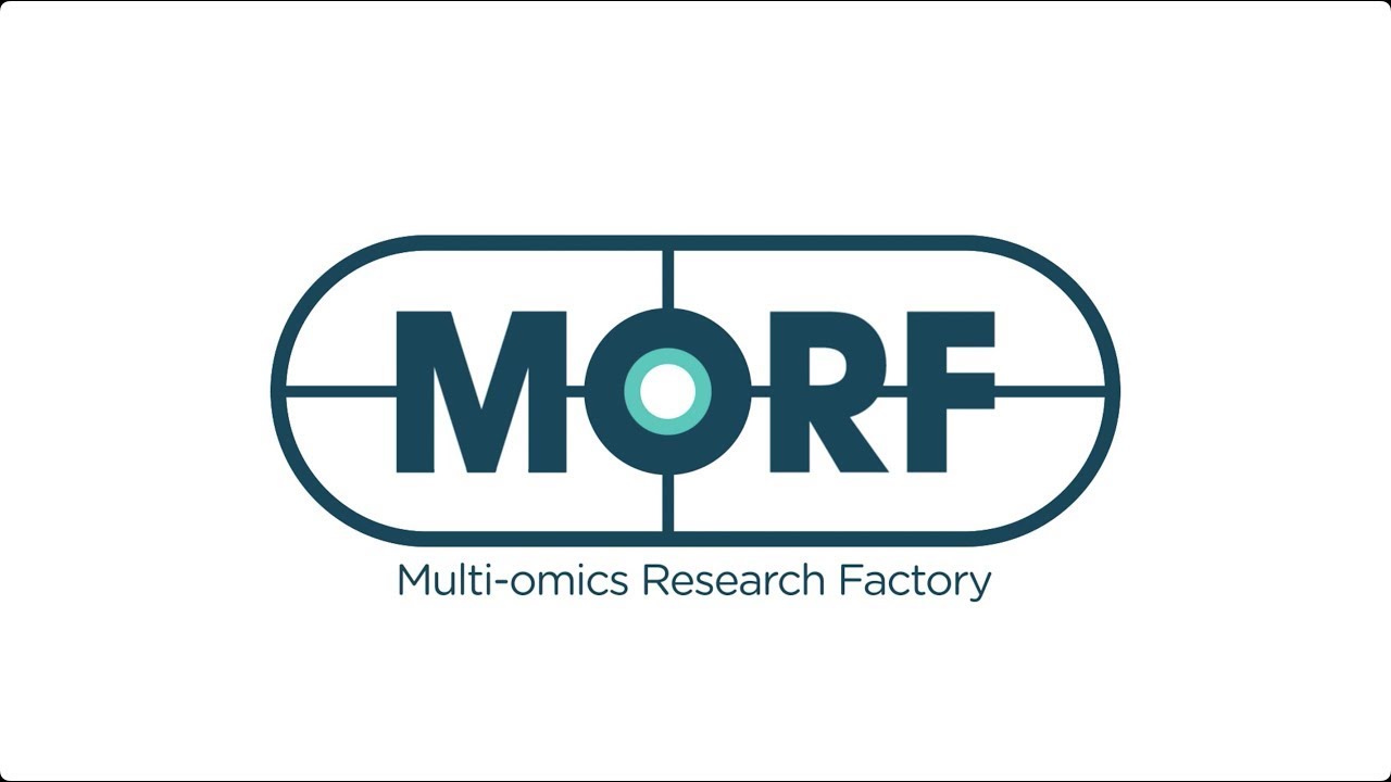 Detox_Project's tweet card. Introducing MORF: the Multi-Omics Research Factory