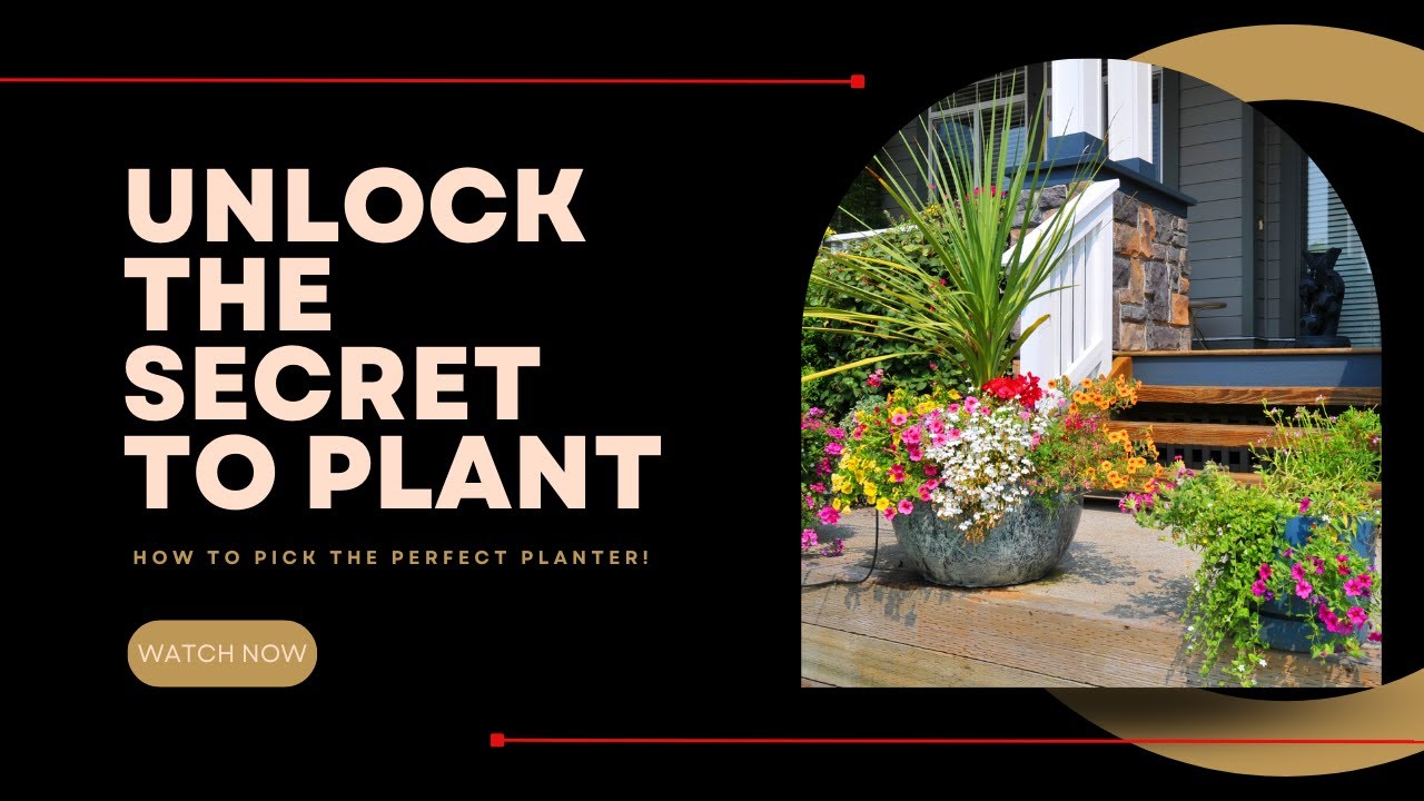 DesignRaining's tweet card. Unlock the Secret to Plant Perfection How to Pick the Perfect Planter!