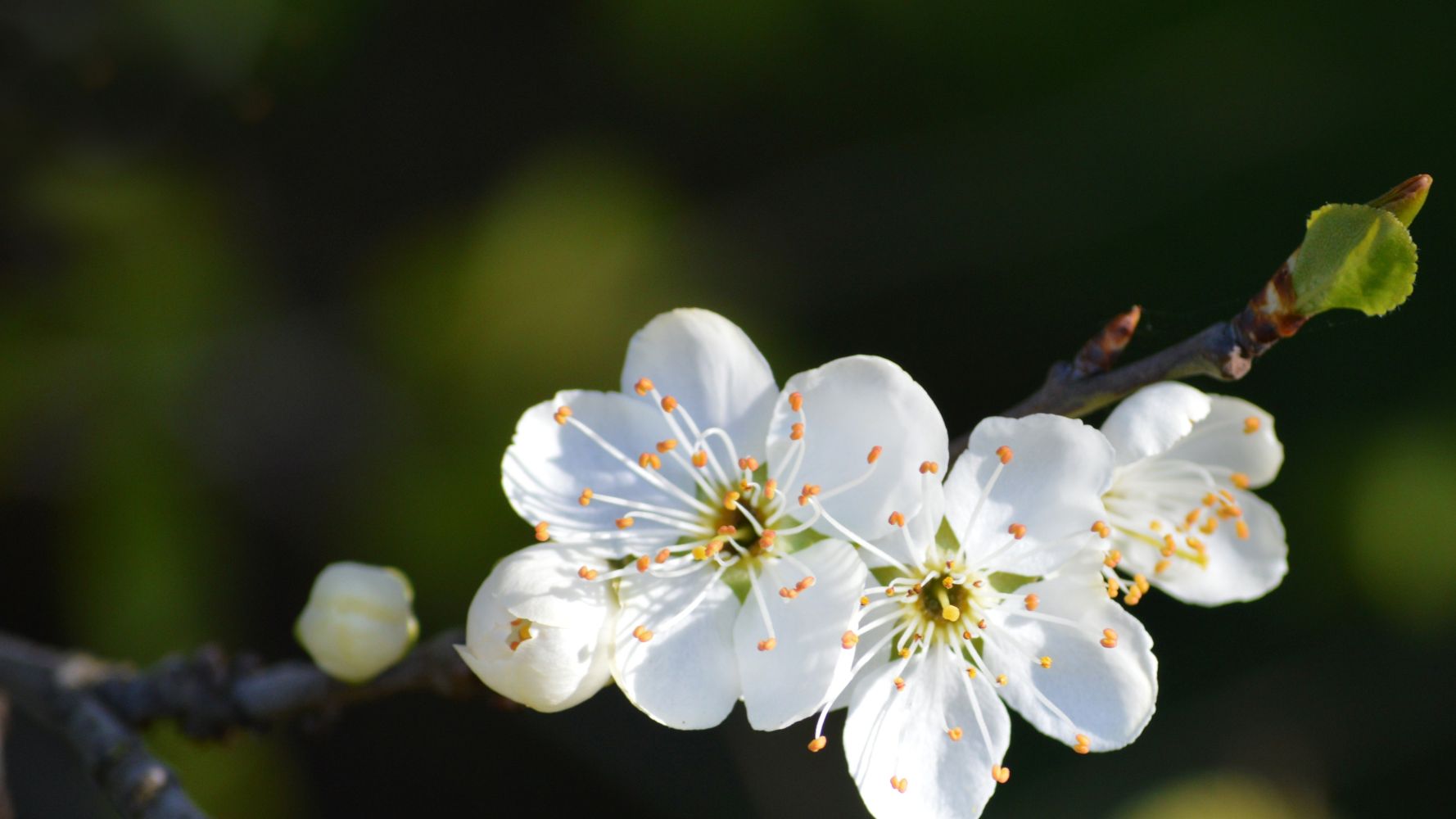 TeachForAll's tweet card. Oct 20, 2025 // New research from the OECD suggests teachers enjoy higher rates of job satisfaction than expected. That satisfaction is tied to visible impacts from teachers’ work—and there is plenty...