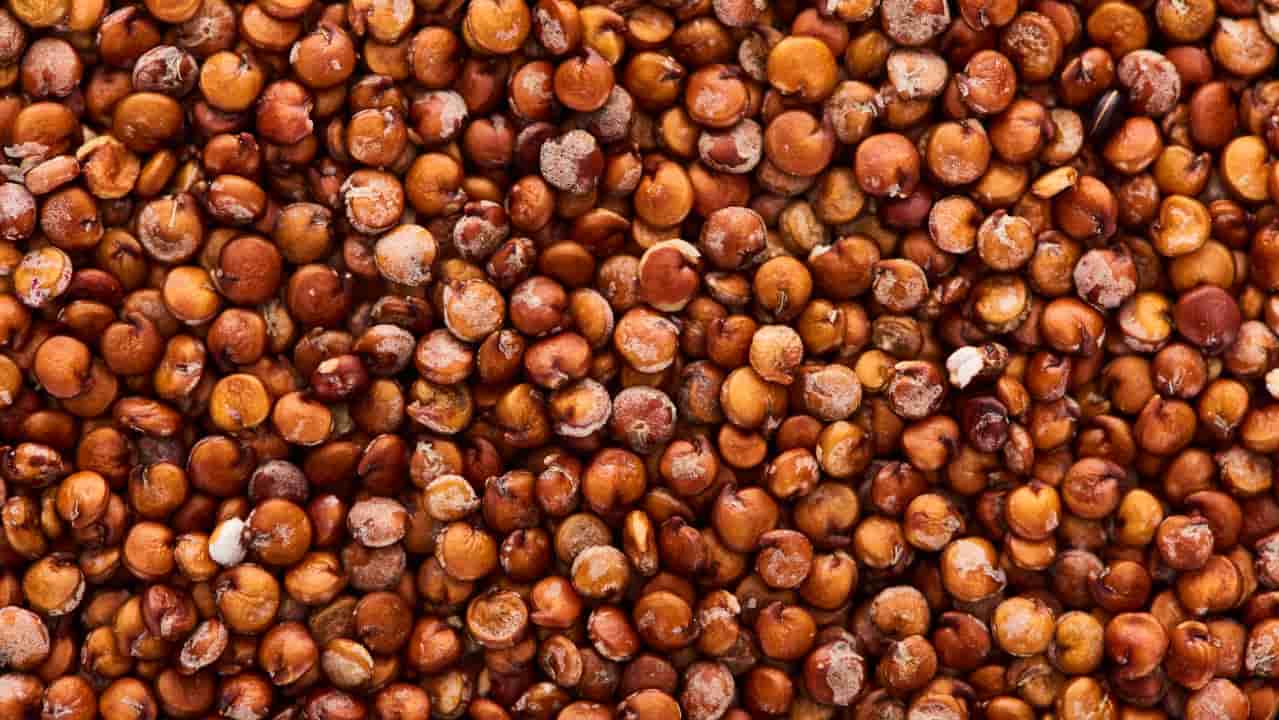 PortalAgro2's tweet card. O Brasil obteve autorização da China para que cinco unidades passem a exportar DDG, grãos secos de destilaria  e outras dez possam vender sorgo ao país asiático.