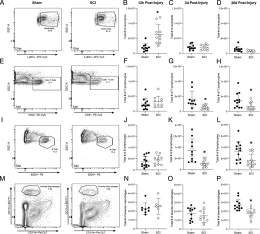 KrissyKigerl's tweet card. Key Points. SCI impairs leukocyte recruitment and transcriptional control of lung immunity.Impaired lung immunity after SCI creates a microenvironment perm