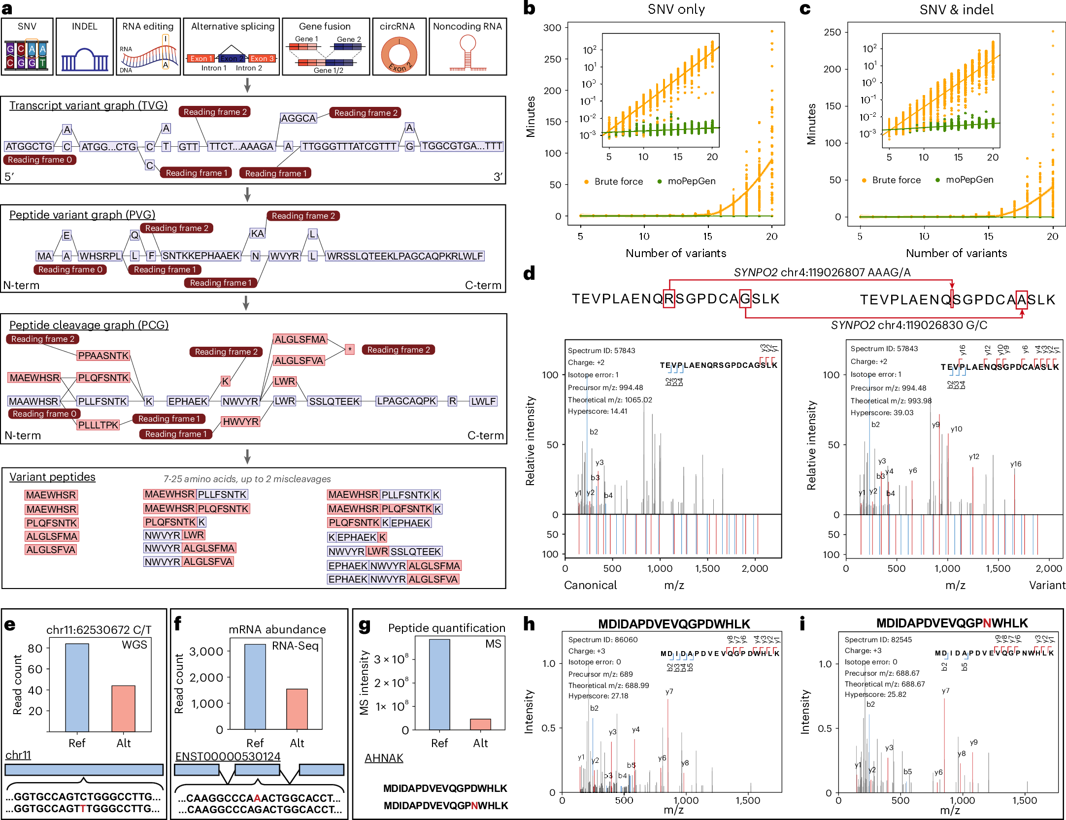 KislingerThomas's tweet card. Nature Biotechnology - moPepGen enables the detection of peptides across species, proteases and technologies.