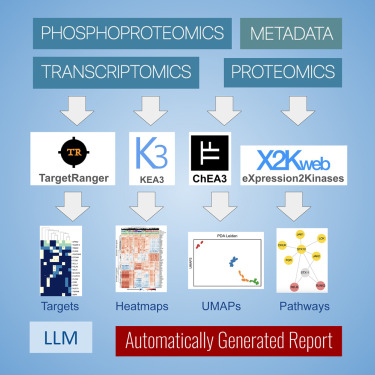 TischCancer's tweet card. Deng et al. present Multiomics2Targets, a bioinformatics workflow that can be used to identify drug targets for cohorts of cancer patients profiled with transcriptomic, proteomic, and phosphoproteo...