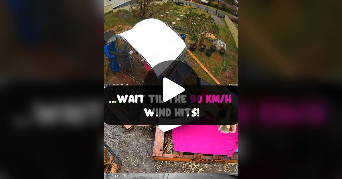 xrachaelnadine's tweet card. 78 likes, 9 comments. “Well 💩... I have never in my life witnessed winds this insane! 🌪️ I have hours and hours of footage prior to this and barely anything is moving, it's eerily still. I am so...