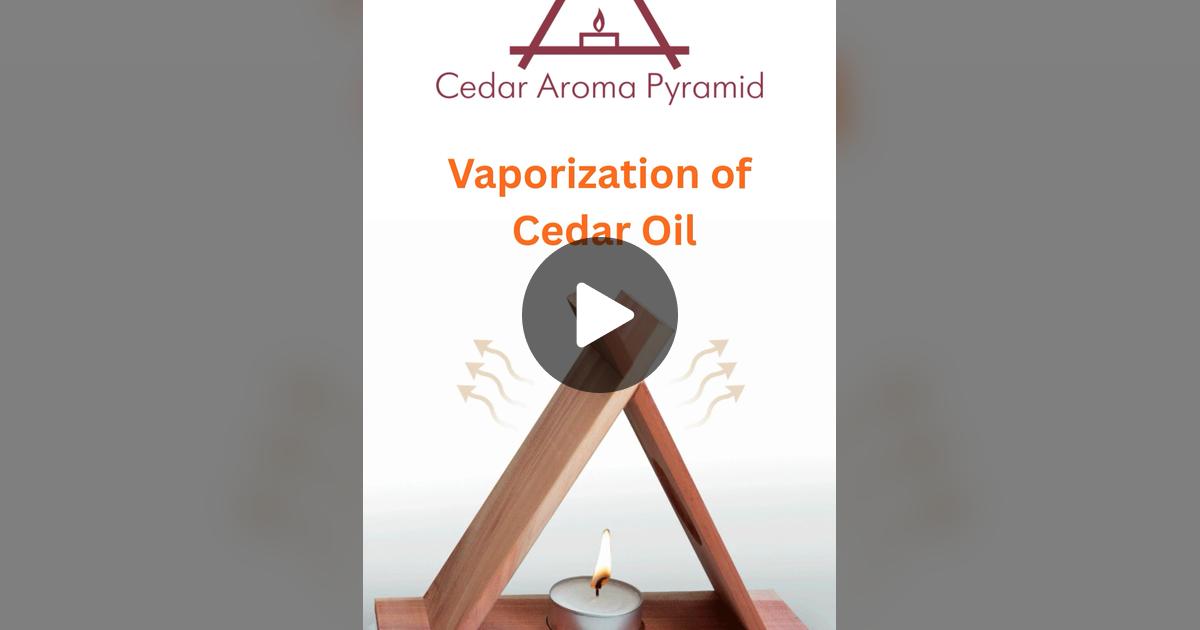 Triangle_Tree's tweet card. Check out OM&Co’s video.