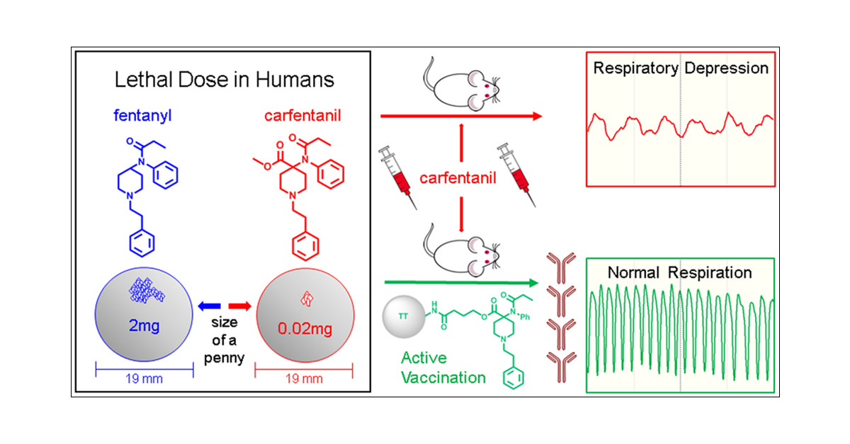 LabJanda's tweet card. The opioid epidemic remains a dire public health crisis with millions of people currently suffering from opioid use disorder (OUD) and tens of thousands dying each year. Synthetic opioids are most...
