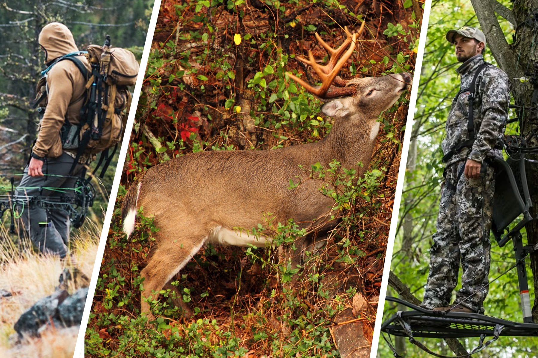 HookBarrelMag's tweet card. Hunting is serious exercise. Practicing backcountry fitness will help you go into the deer woods knowing you’ve got stamina for the job.
