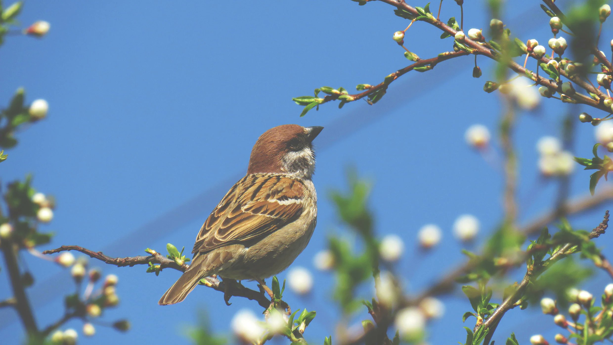 Pur3Tech's tweet card. Like clockwork, every few years viral relationship “tests” or “theories” will resurface online, prompting renewed discourse about the state of romantic unions. The latest test doing the rounds: the...