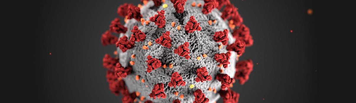 paradocs21's tweet card. It is clear that HHS Secretary RFK Jr. is on a dangerous and fast-moving path to make COVID-19 vaccines totally unavailable here in the U.S. With COVID-19 cases on the rise in many parts of the US...