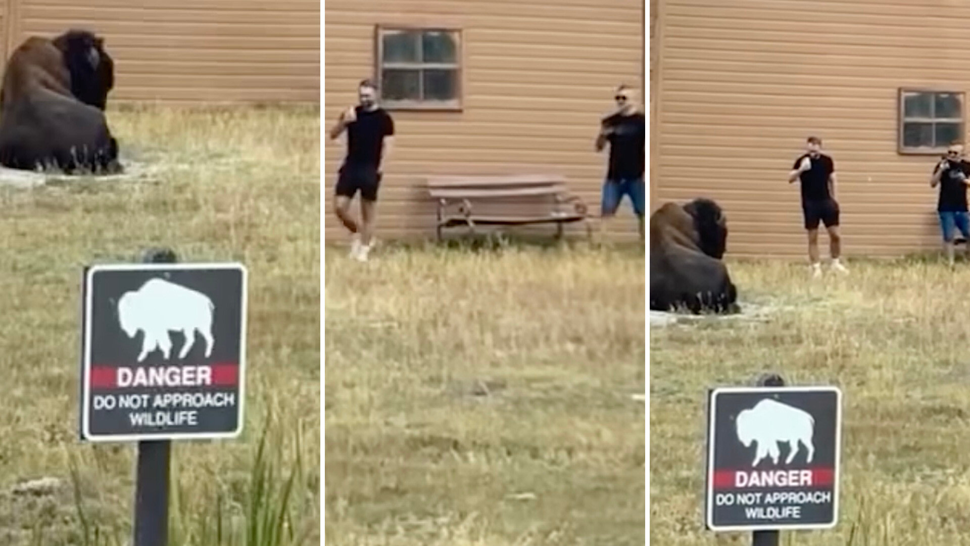 fearlesskill's tweet card. Visitors at Yellowstone National Park were incredibly disrespectful to an iconic American bison.