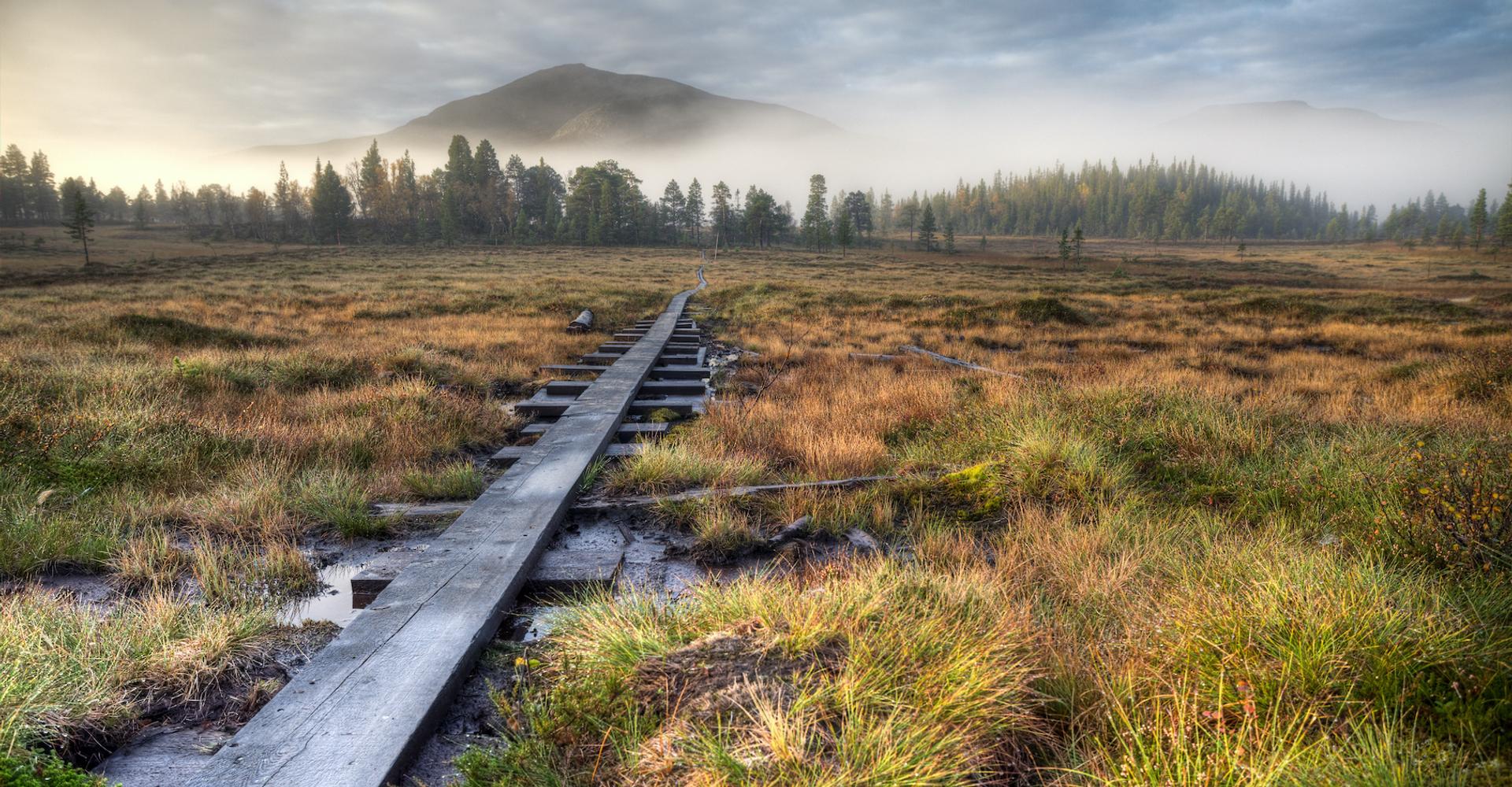 RevTechConf's tweet card. Selon les Nations unies, il existe cinq principaux problèmes émergents en matière d’environnement. Le dégel des tourbières à pergélisol est l’un d’eux. Et des chercheurs nous apprennent aujourd’hui...