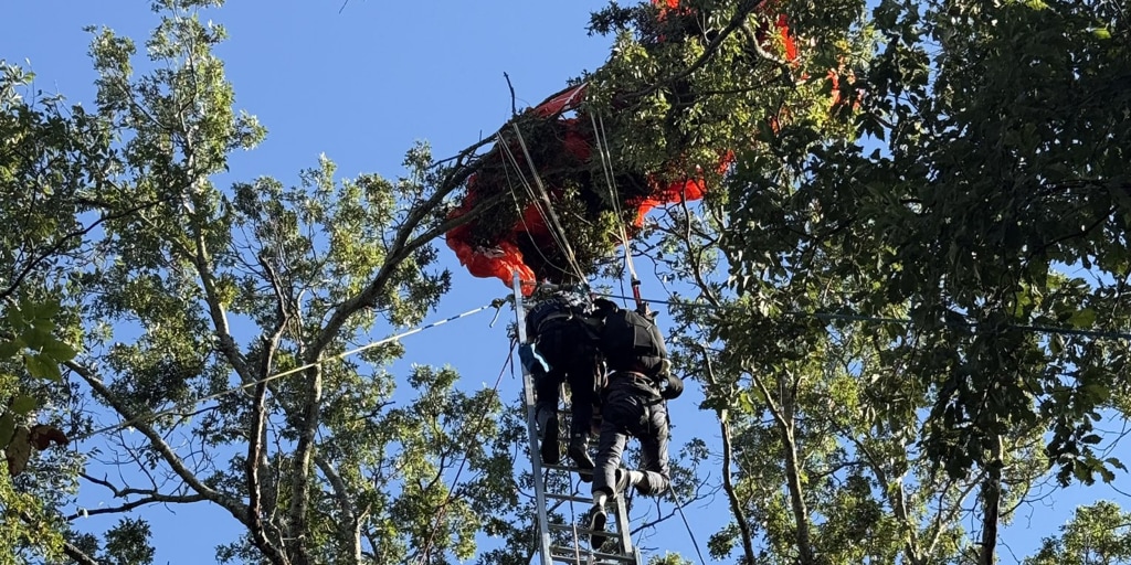 NBCNews's tweet card. Emergency personnel found the instructor's dead body off a Nashville highway.
