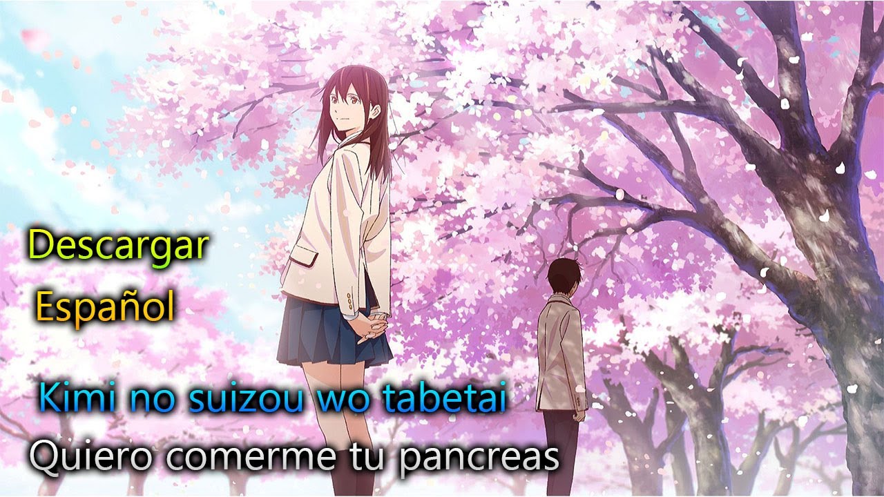 ProZedd5's tweet card. Descargar Kimi no suizou wo tabetai ,español, Zaddx