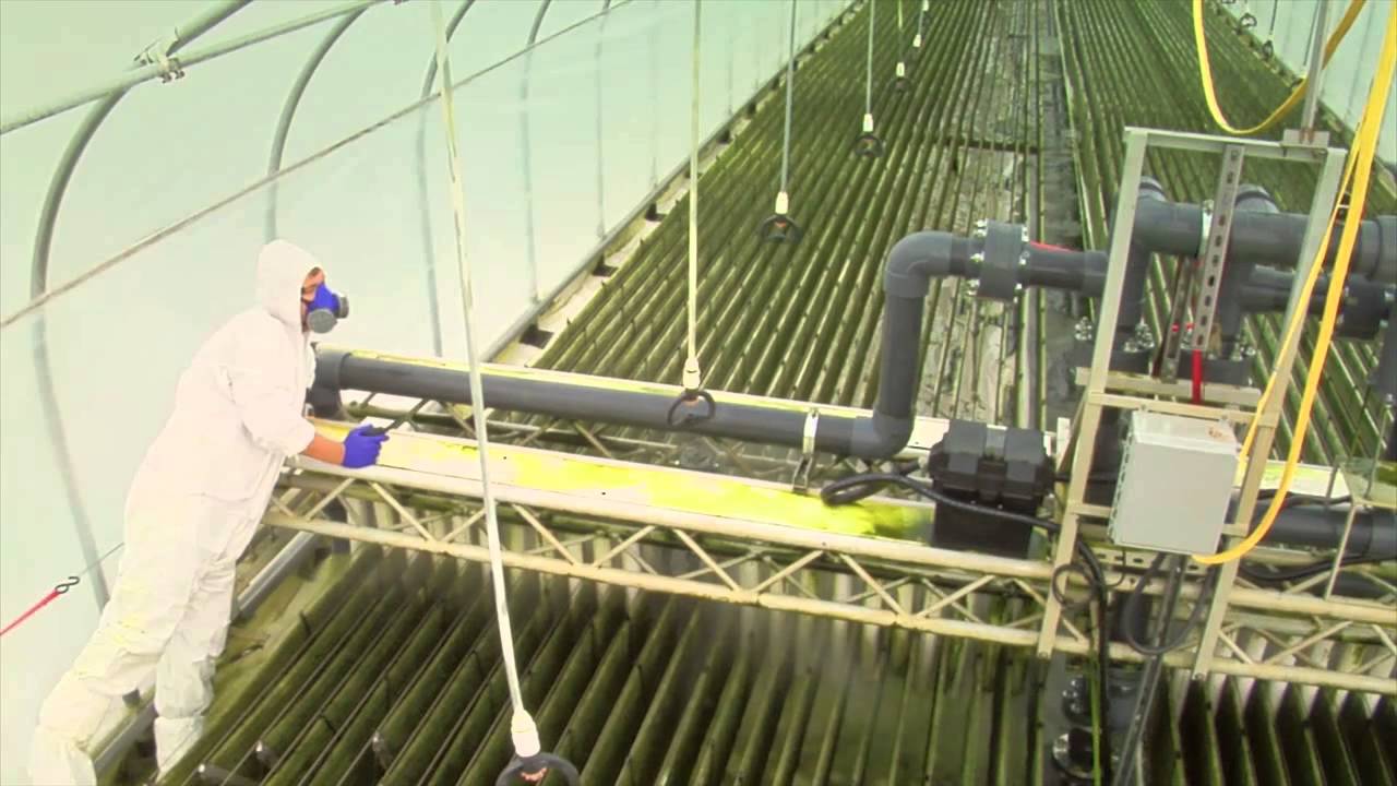 BioProcessAlgae's tweet card. BioProcess Algae | Shenandoah, Iowa