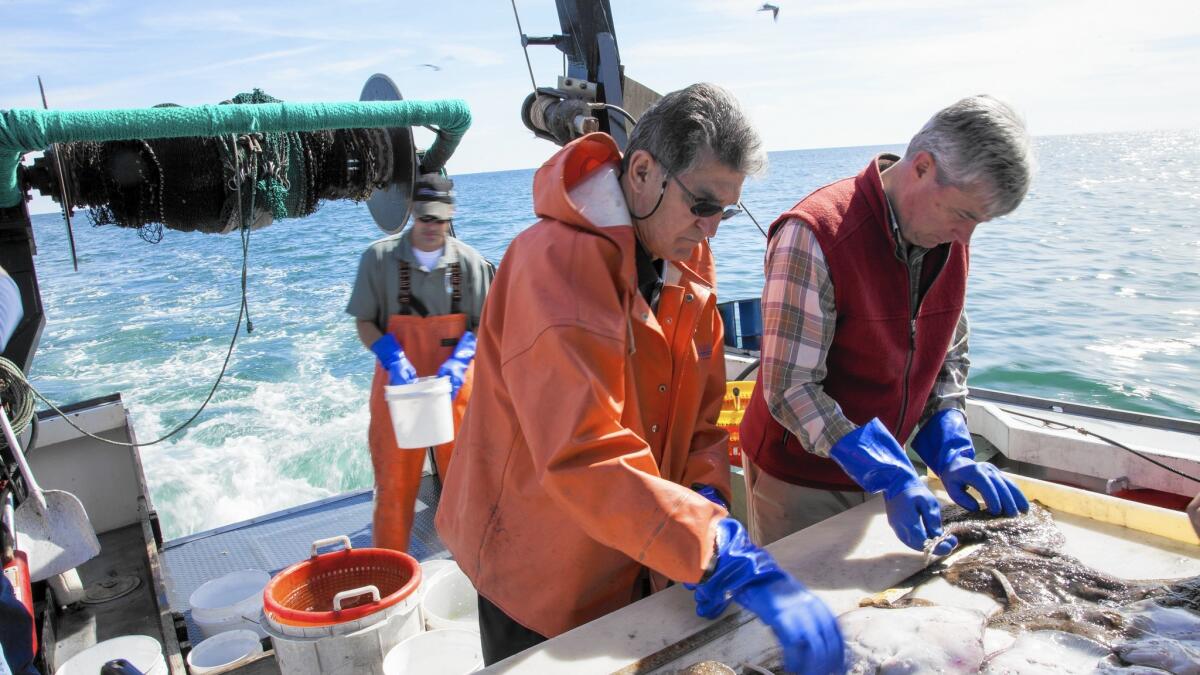 BioProcessAlgae's tweet card. In June, Sen. Joe Manchin III of West Virginia, a defender of the coal industry, and Sen.