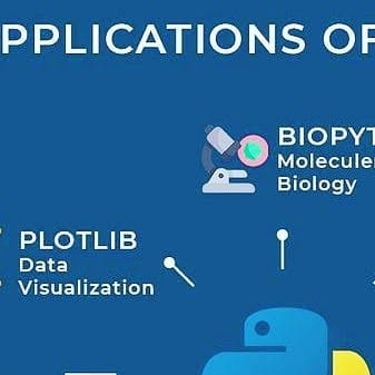 Pythonic88's tweet card. Omar Ghoneim (@pythonic_88) • Instagram photo