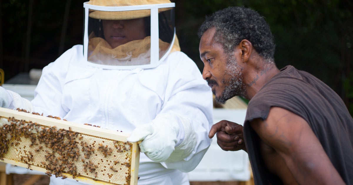 CSUN_CSBS's tweet card. "Work hard, stay bumble" is their nonprofit motto.