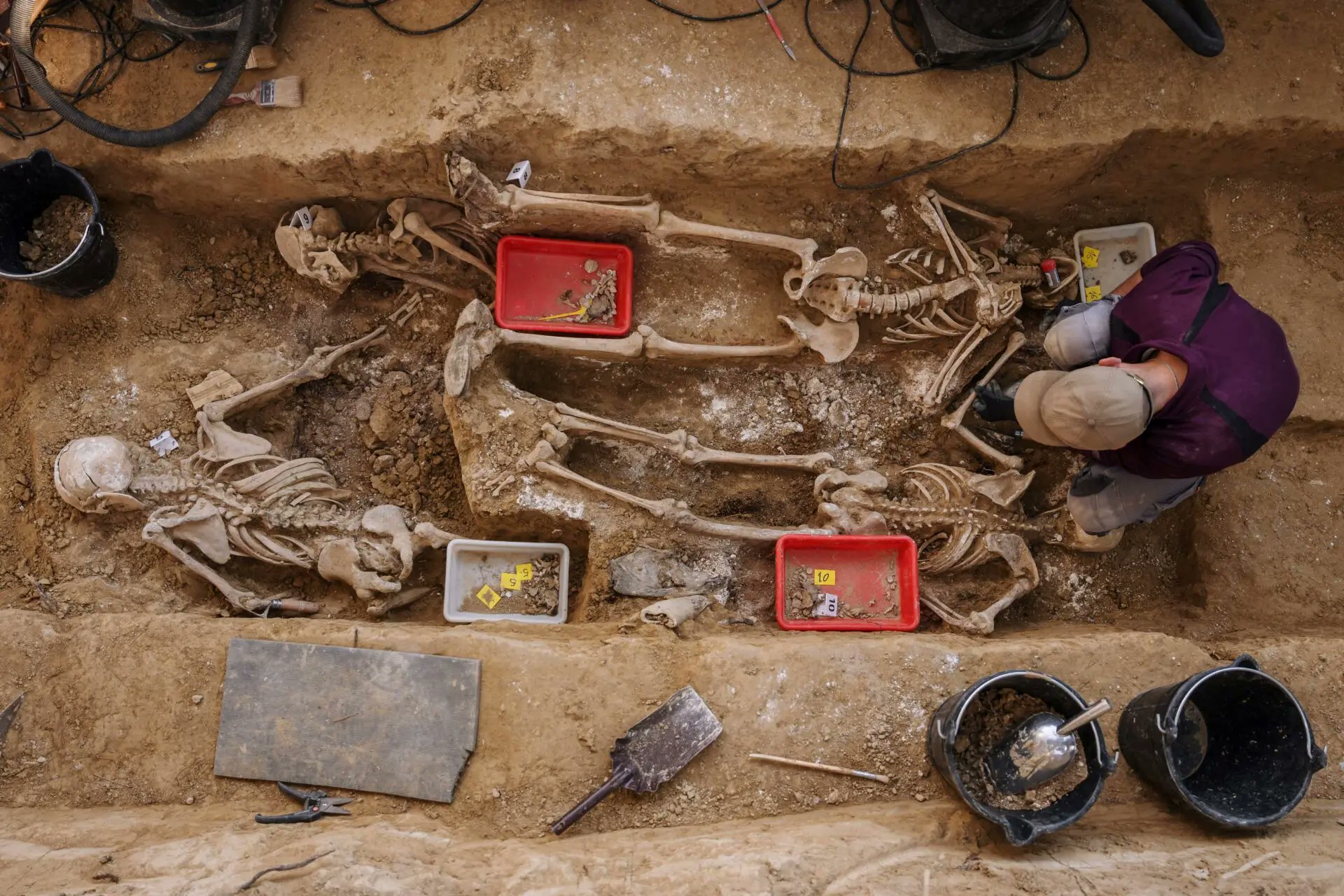 ElCaribeRD's tweet card. Hay más de 3.300 sepulturas clandestinas de la Guerra Civil y 114.000 desaparecidos, según el Gobierno de Pedro Sánchez.