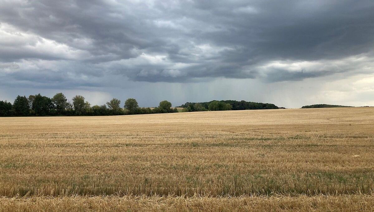 ModefNational's tweet card. Le gouvernement a annoncé la mise en place d'un contrôle administratif unique pour les agriculteurs. Une réponse à la grogne monte à nouveau au sein du monde paysan. Mais la mesure ne fait pas...