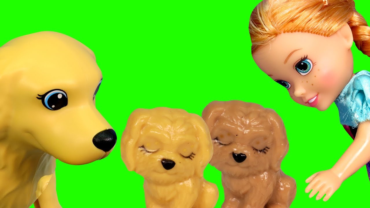 FlutterbySMedia's tweet card. Puppies ! Elsa & Anna toddlers dog at the Pet VET - Sick ? Animal...