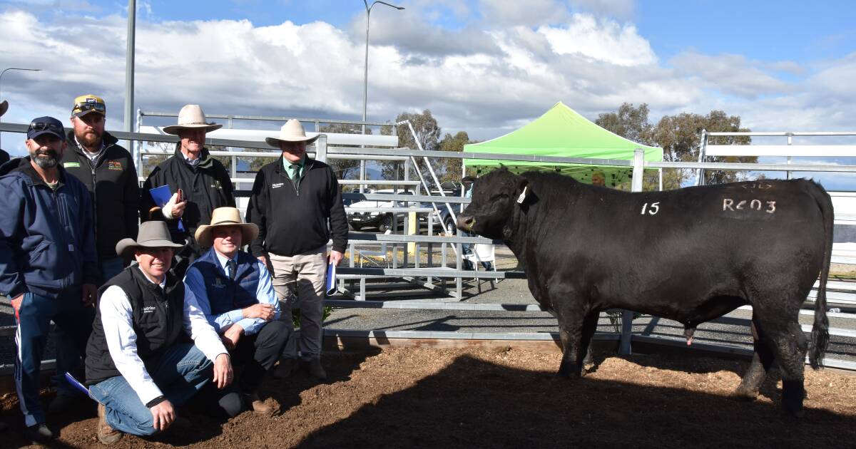 KBaileyMarkets's tweet card. Buyers came from Warwick in Queensland right down to Albury on the border.