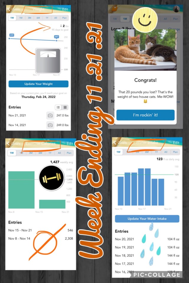 john_boghos's tweet card. November 21, 2021 • “House Cats and Man-Colds” Happy 😊 Sunday! How are house cats 🐈 and man-colds 🤒 related this week? Read on for the details. I had a really rough week. I came down with a s…