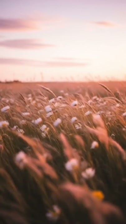 Johnathantheri6's tweet card. #DreamScreenAI Windy day