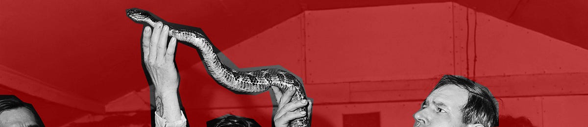 Dear_Designer's tweet card. Q: My partner and I just started our own firm and we’re pitching our first big project in a few days. Do you have any tips?