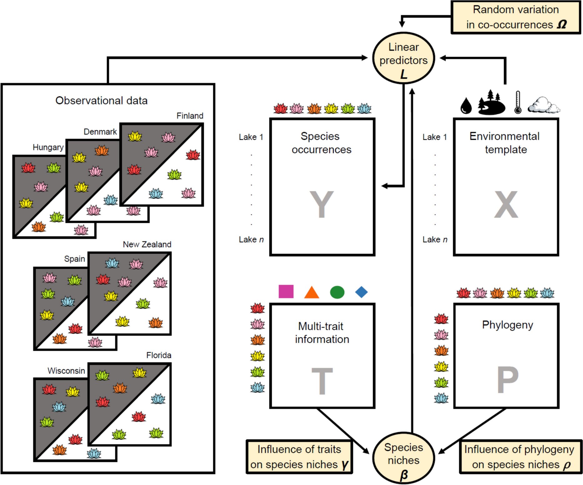 HYDR_Springer's tweet card. Hydrobiologia - There is a lack of empirical evidence on how biotic and abiotic mechanisms interact to structure freshwater metacommunities. We explored using Hierarchical Modelling of Species...