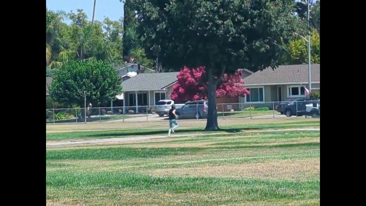 vsoch's tweet card. Sword and the Stone ⚔️